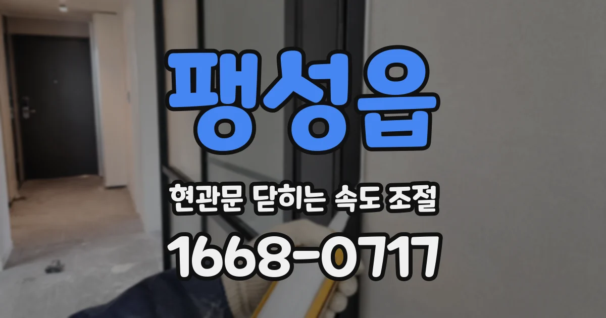 팽성읍 현관문 닫히는 속도 조절