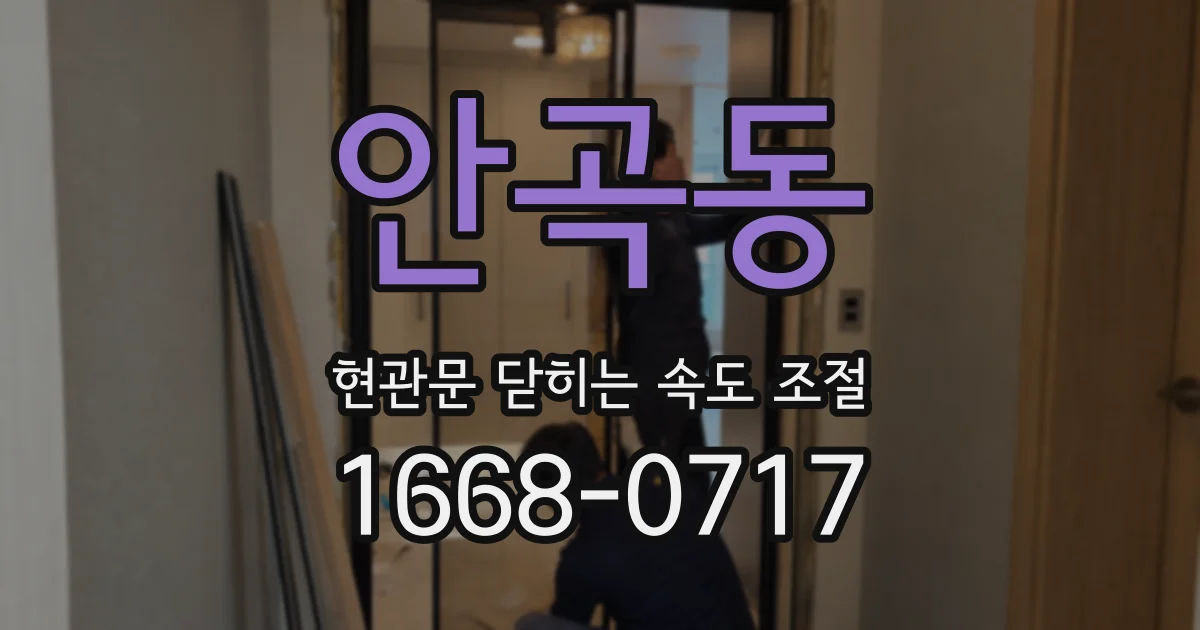 안곡동 현관문 닫히는 속도 조절