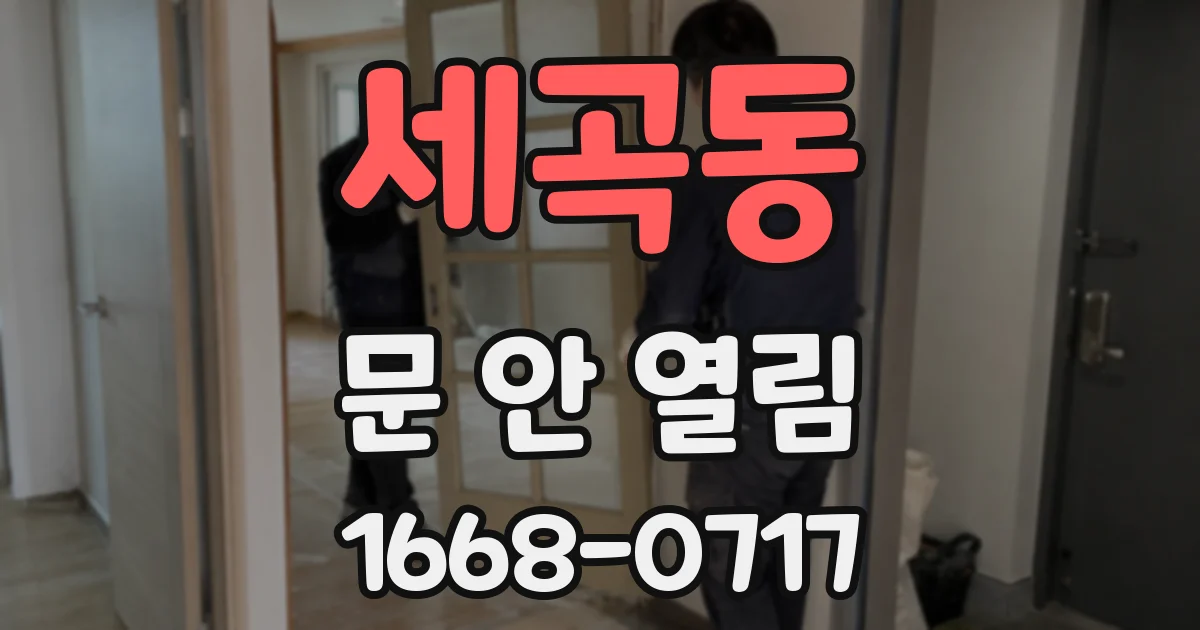 세곡동 문 안 열림