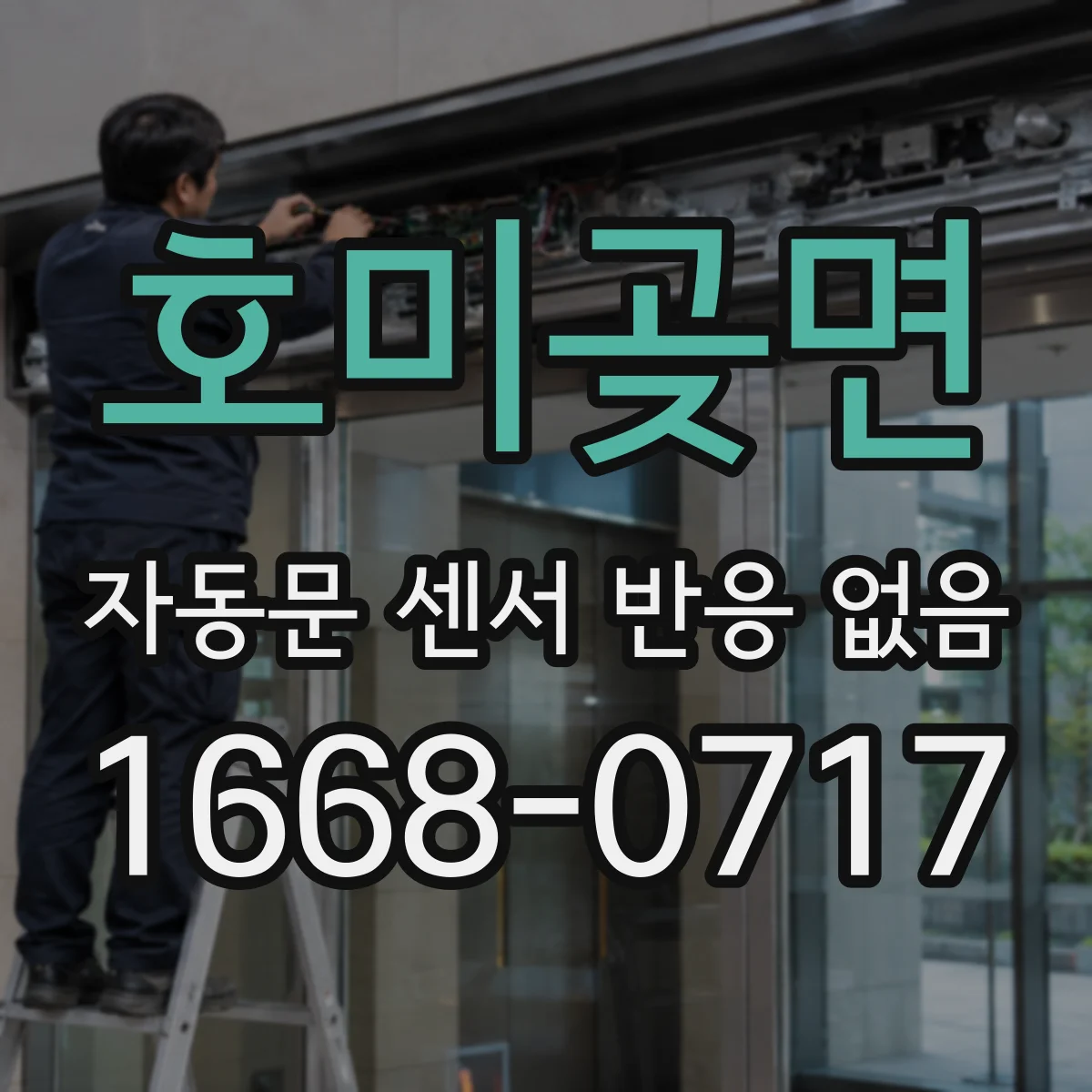 호미곶면 자동문 센서 반응 없음