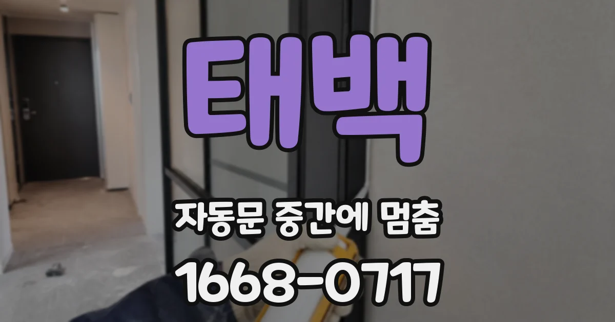 태백 자동문 중간에 멈춤