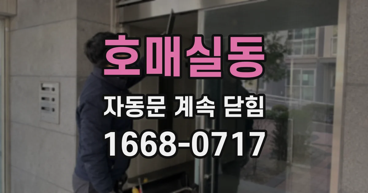 호매실동 자동문 계속 닫힘