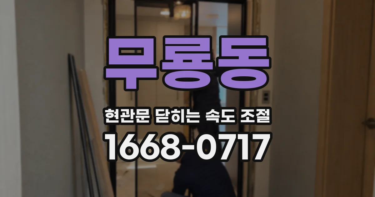 무룡동 현관문 닫히는 속도 조절