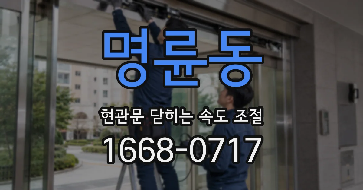 명륜동 현관문 닫히는 속도 조절