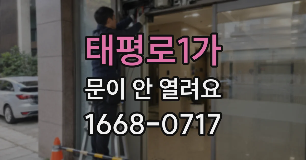 태평로1가 문이 안 열려요