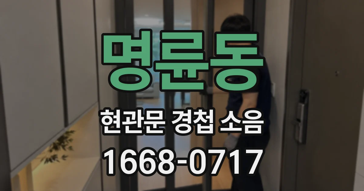 명륜동 현관문 경첩 소음