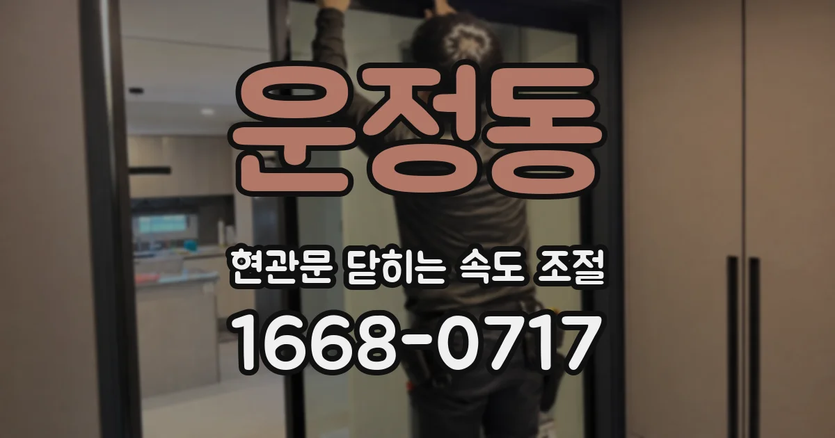 운정동 현관문 닫히는 속도 조절