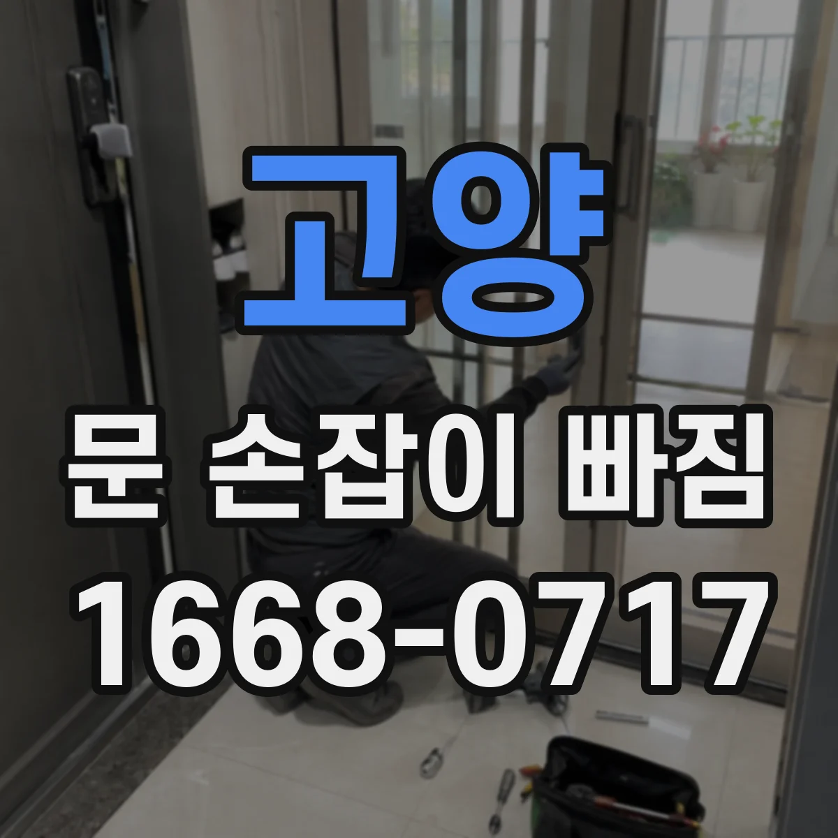 고양 문 손잡이 빠짐