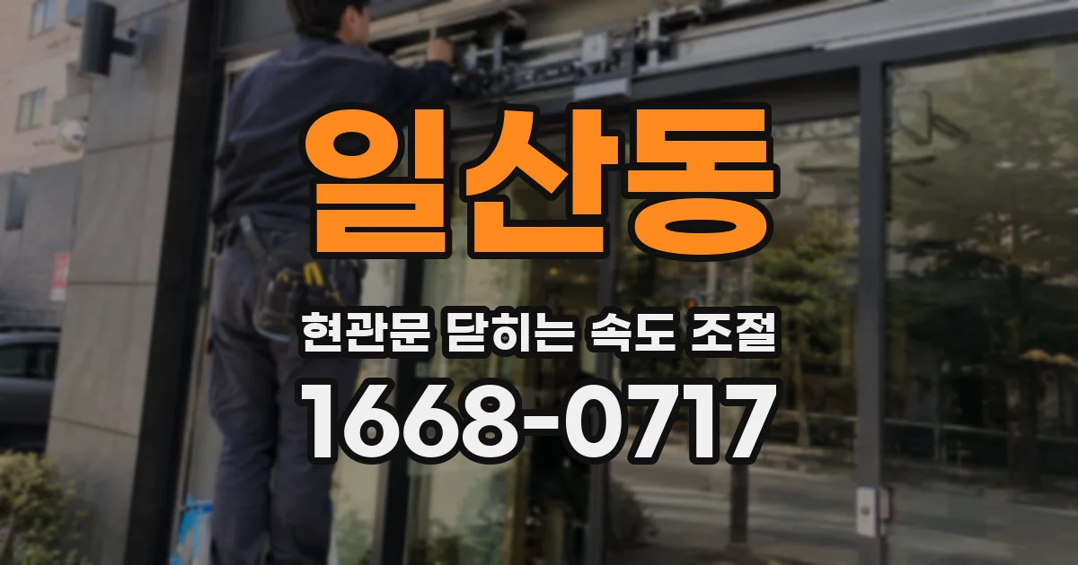 일산동 현관문 닫히는 속도 조절