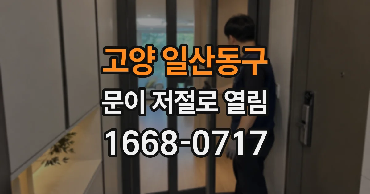 고양 일산동구 문이 저절로 열림