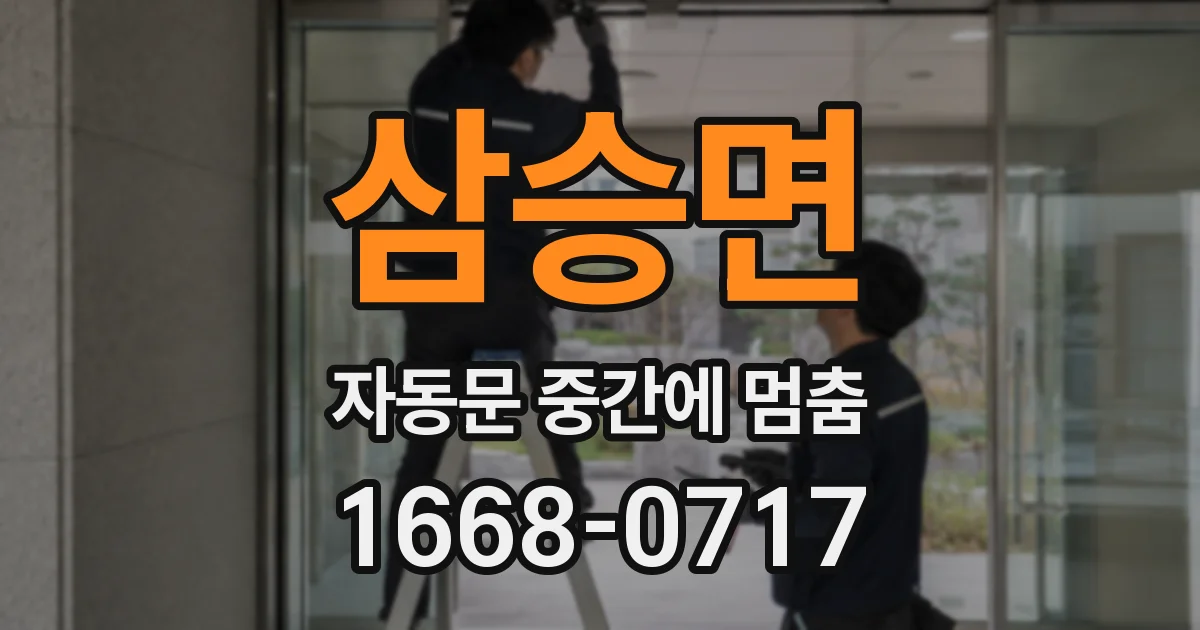 삼승면 자동문 중간에 멈춤