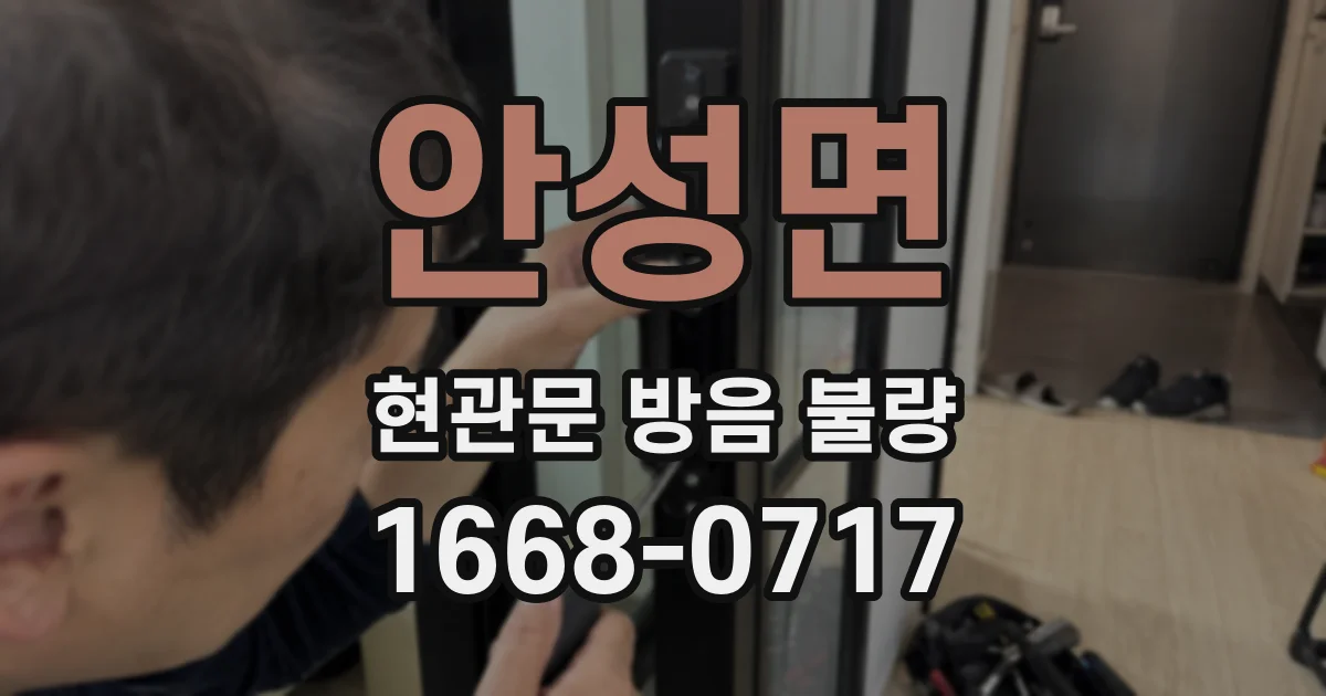 안성면 현관문 방음 불량
