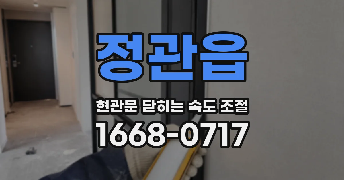 정관읍 현관문 닫히는 속도 조절
