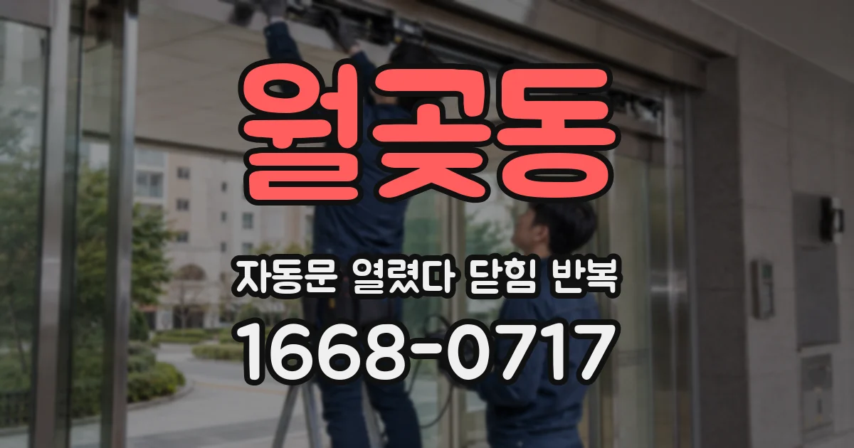월곶동 자동문 열렸다 닫힘 반복 증상은 문이 열렸다가 바로 다시 닫히거나, 멈춘 뒤 다시 작동하는 식으로 나타납니다.