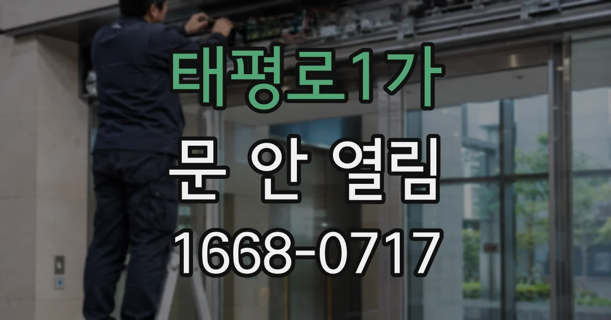 태평로1가 문 안 열림