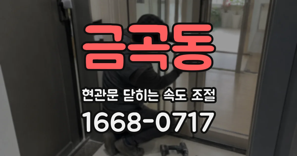 금곡동 현관문 닫히는 속도 조절