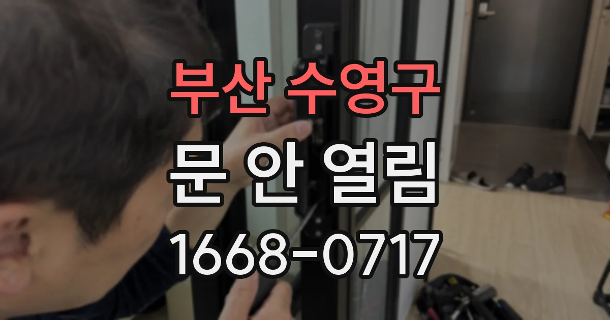 부산 수영구 문 안 열림