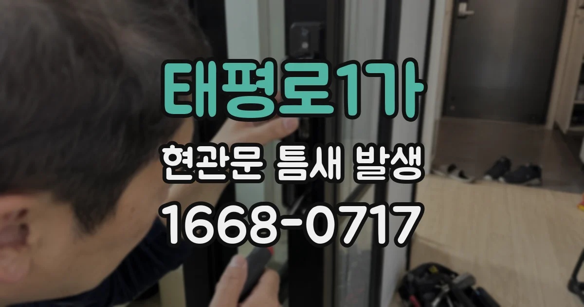 태평로1가 현관문 틈새 발생