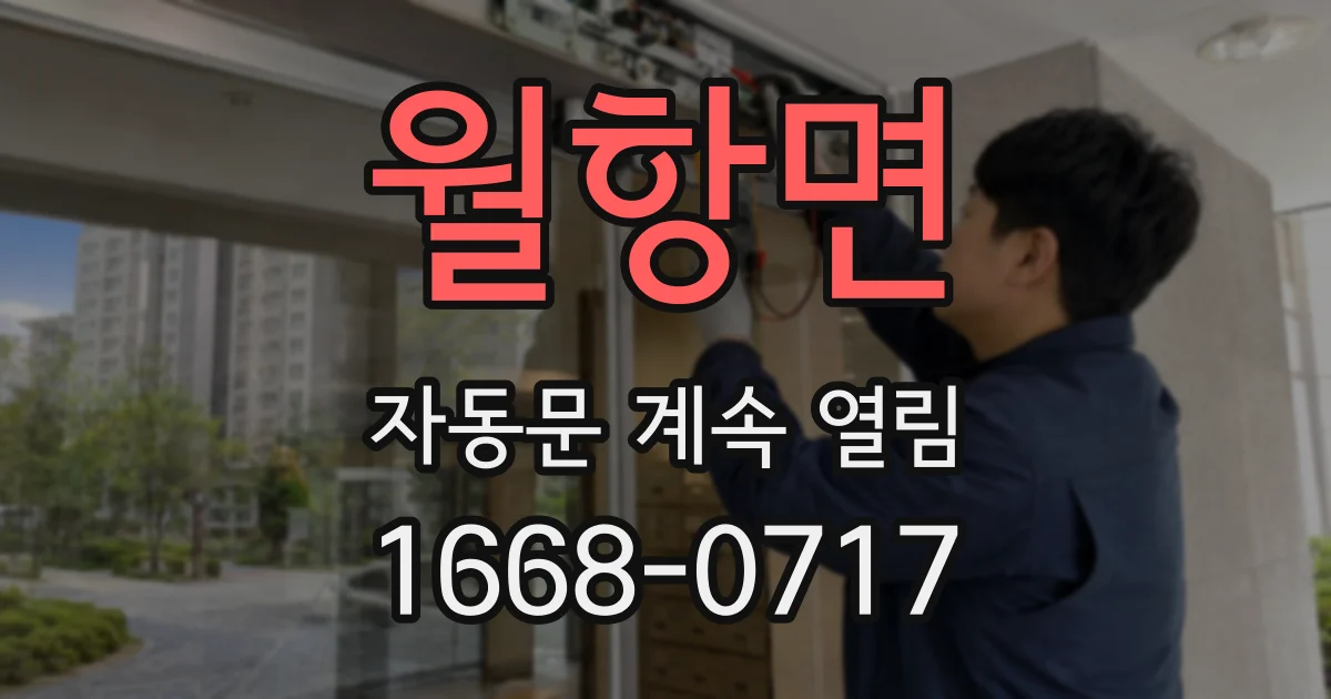 월항면 자동문 계속 열림