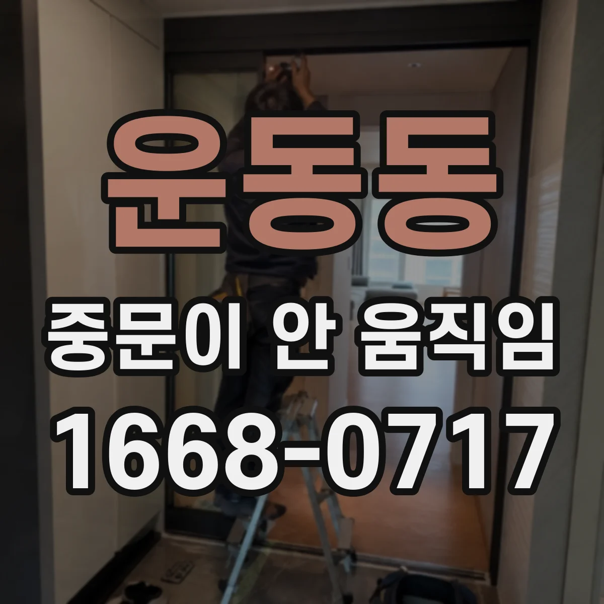 운동동 중문이 안 움직임