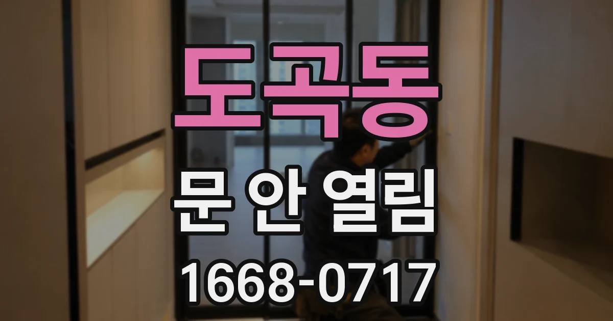 도곡동 문 안 열림