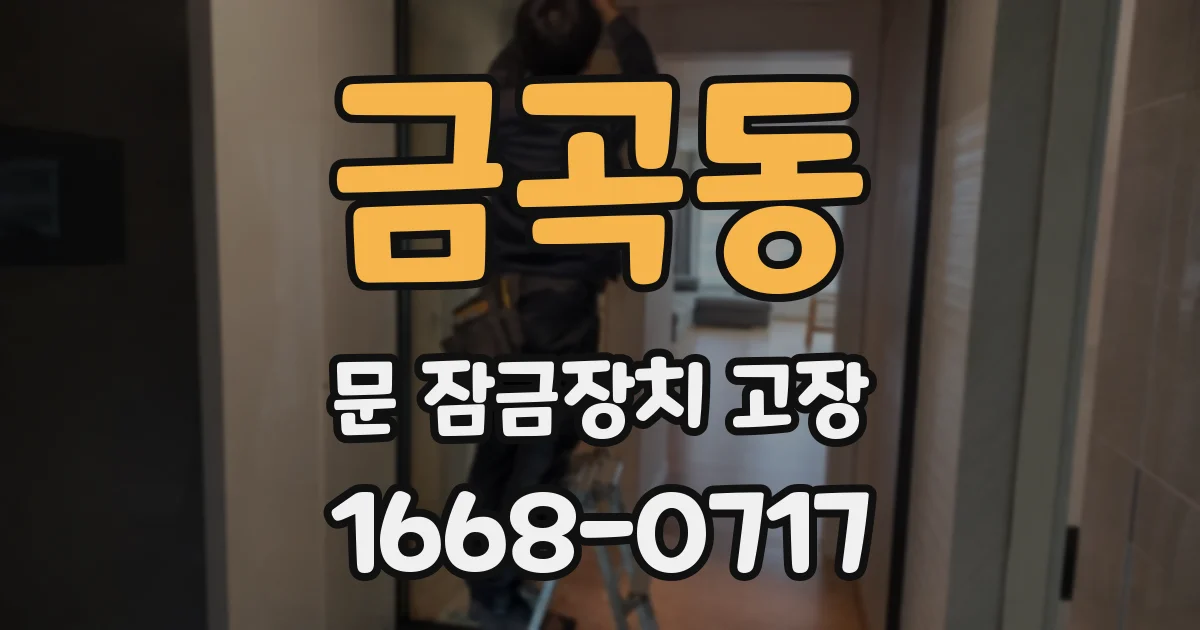 금곡동 문 잠금장치 고장