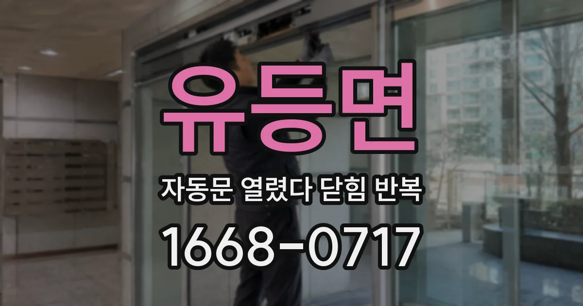 유등면 자동문 열렸다 닫힘 반복