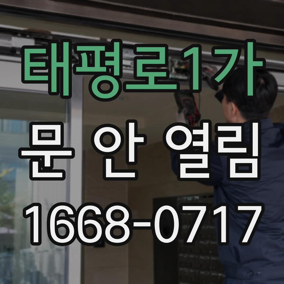 태평로1가 문 안 열림