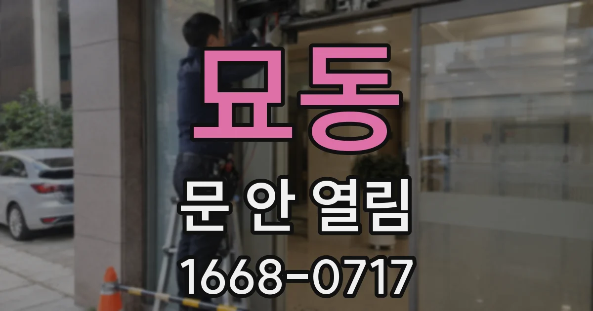 묘동 문 안 열림