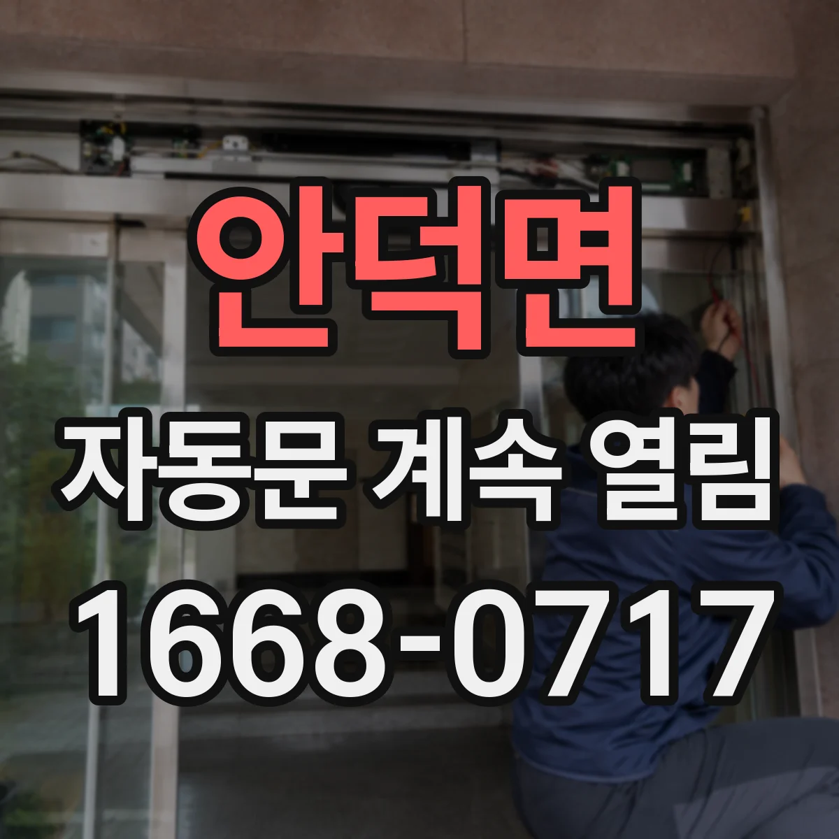안덕면 자동문 계속 열림