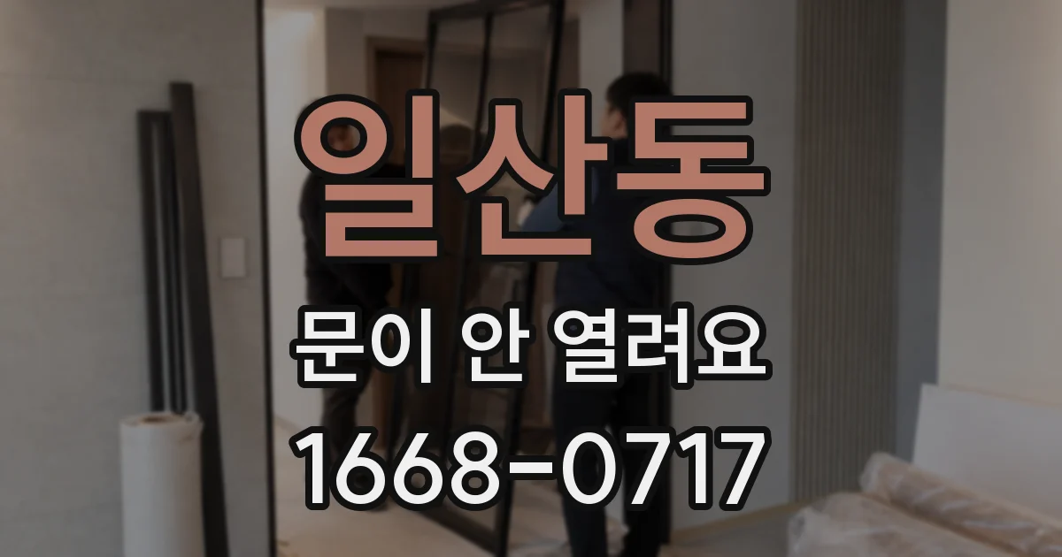 일산동 문이 안 열려요