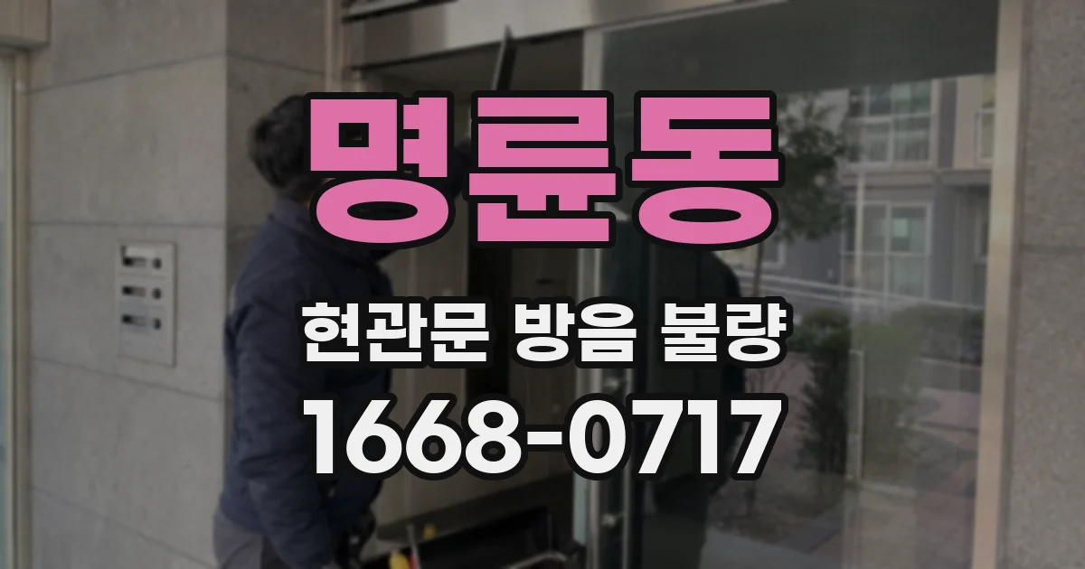 명륜동 현관문 방음 불량
