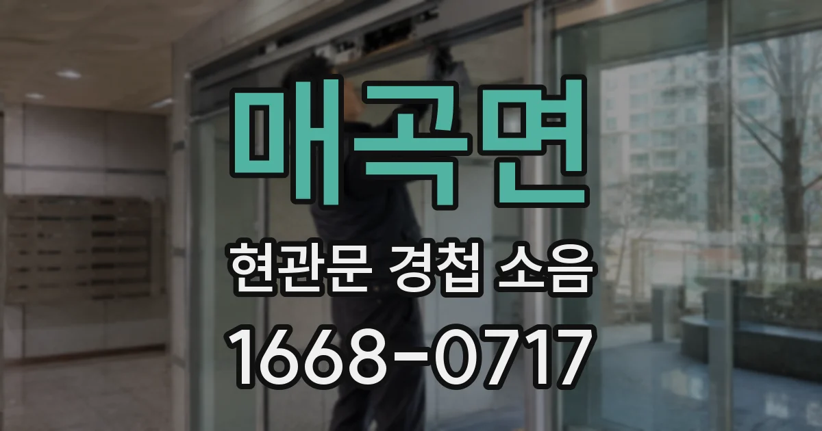 매곡면 현관문 경첩 소음