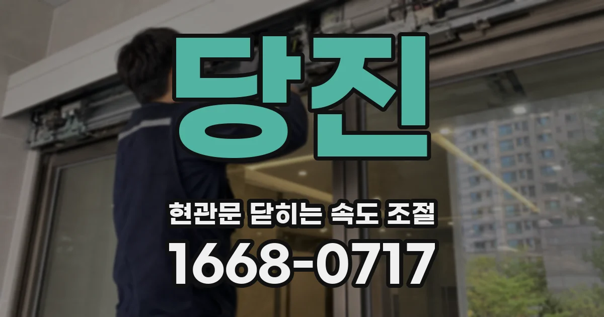 당진 현관문 닫히는 속도 조절