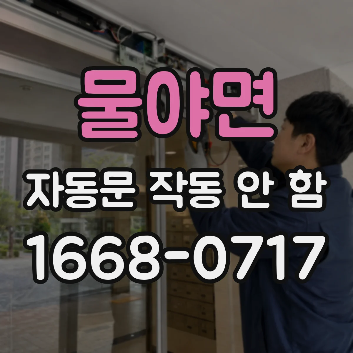 물야면 자동문 작동 안 함