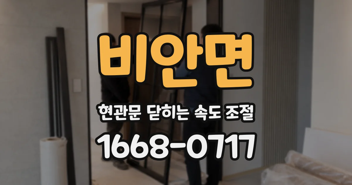 비안면 현관문 닫히는 속도 조절
