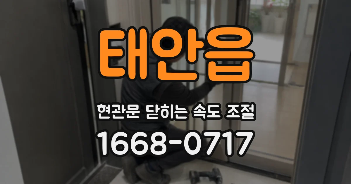 태안읍 현관문 닫히는 속도 조절