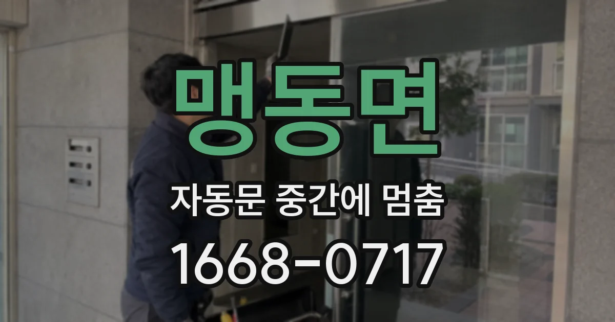 맹동면 자동문 중간에 멈춤