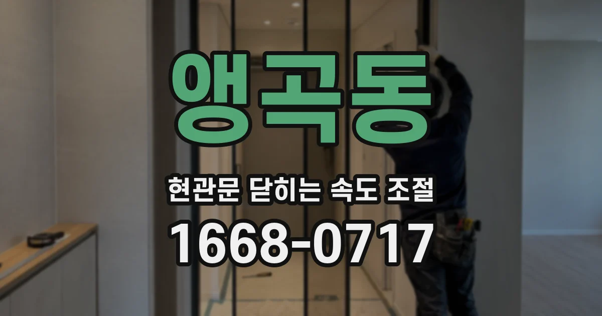 앵곡동 현관문 닫히는 속도 조절