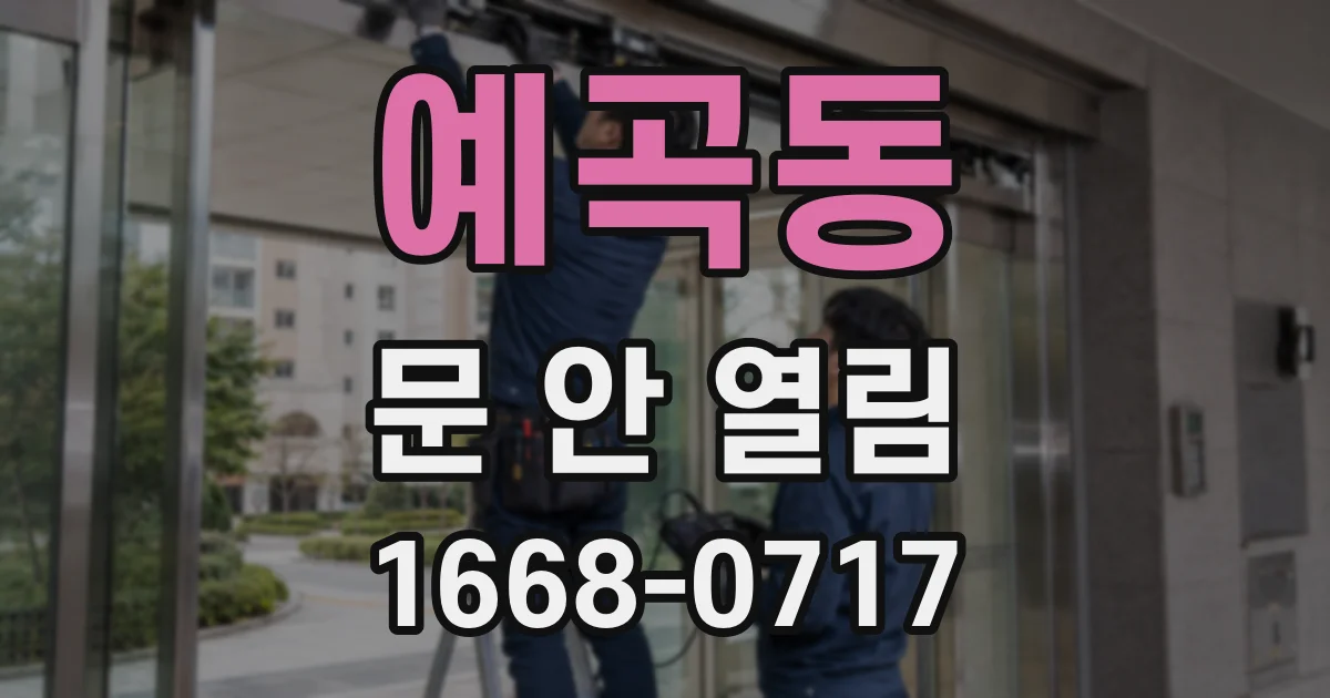 예곡동 문 안 열림