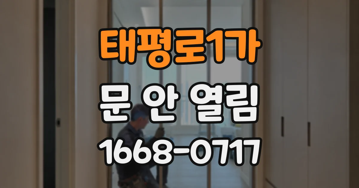 태평로1가 문 안 열림