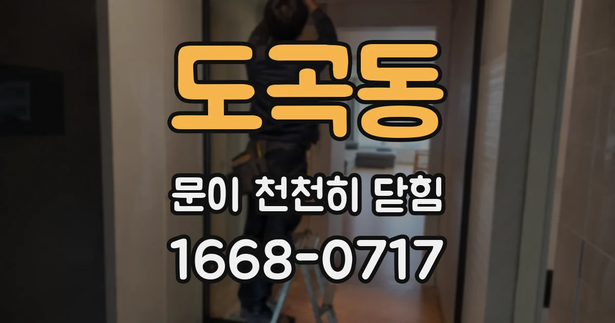 도곡동 문이 천천히 닫힘