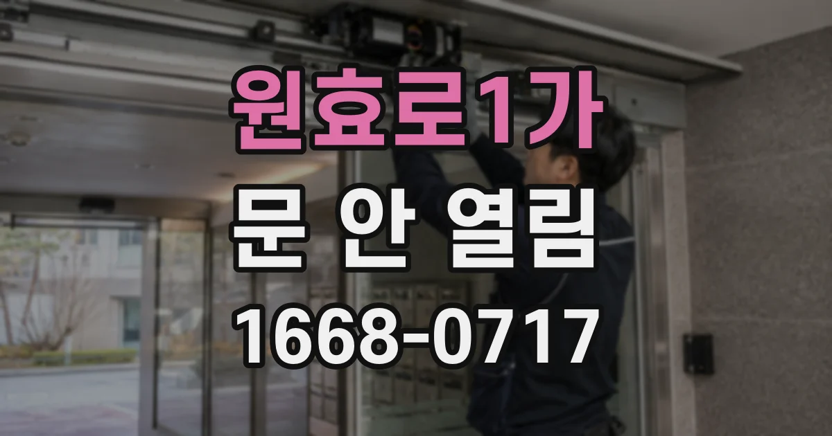 원효로1가 문 안 열림