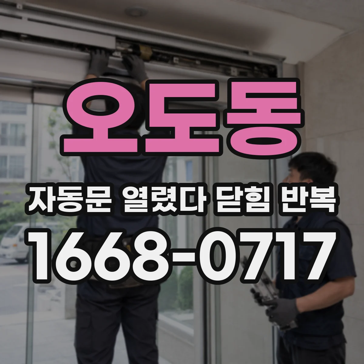 오도동 자동문 열렸다 닫힘 반복