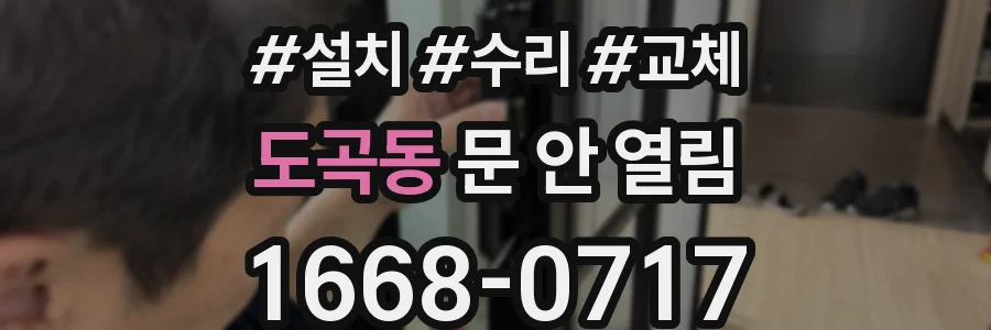 도곡동 문 안 열림