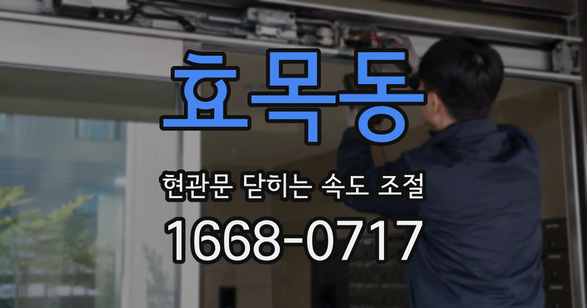 효목동 현관문 닫히는 속도 조절