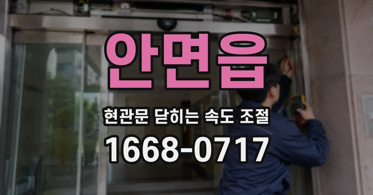 안면읍 현관문 닫히는 속도 조절