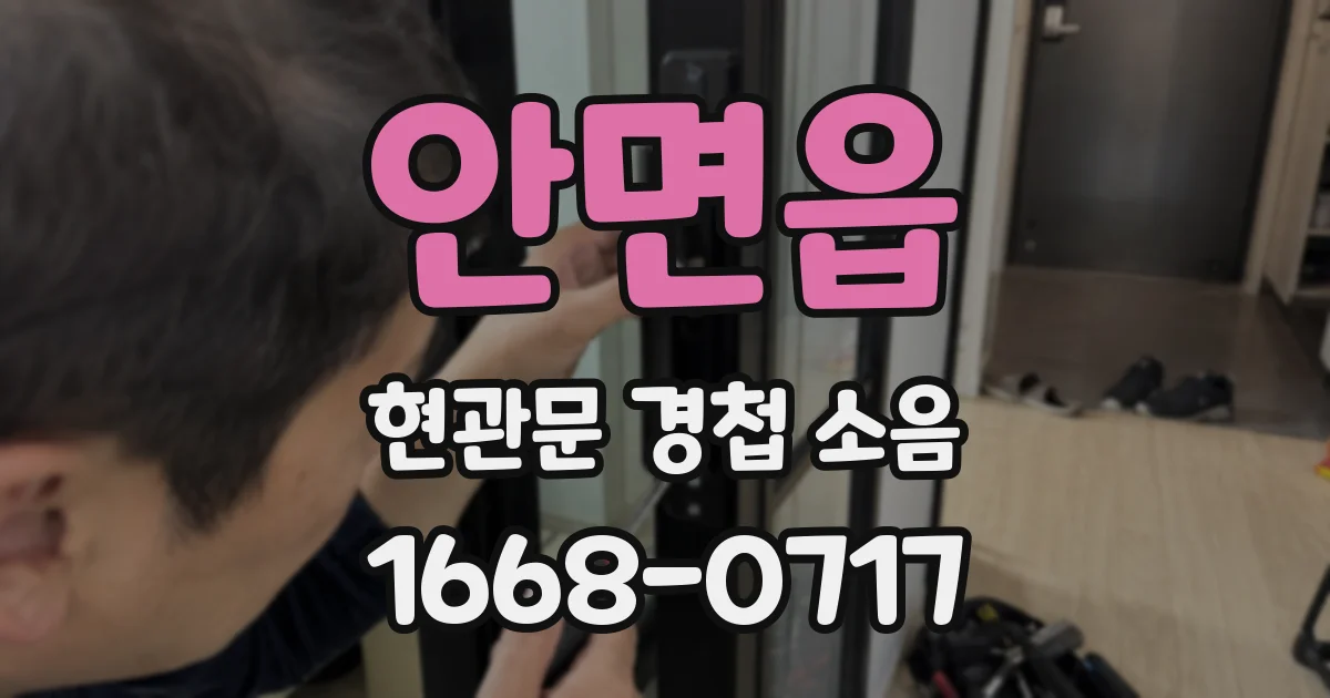 안면읍 현관문 경첩 소음