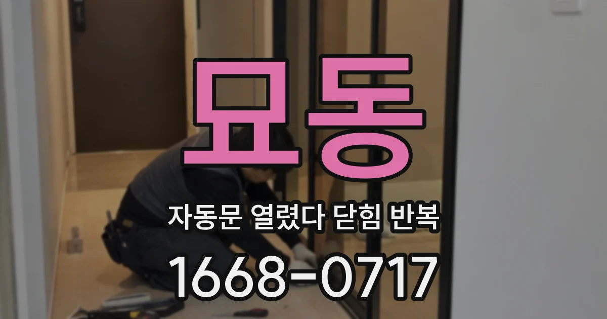 묘동 자동문 열렸다 닫힘 반복