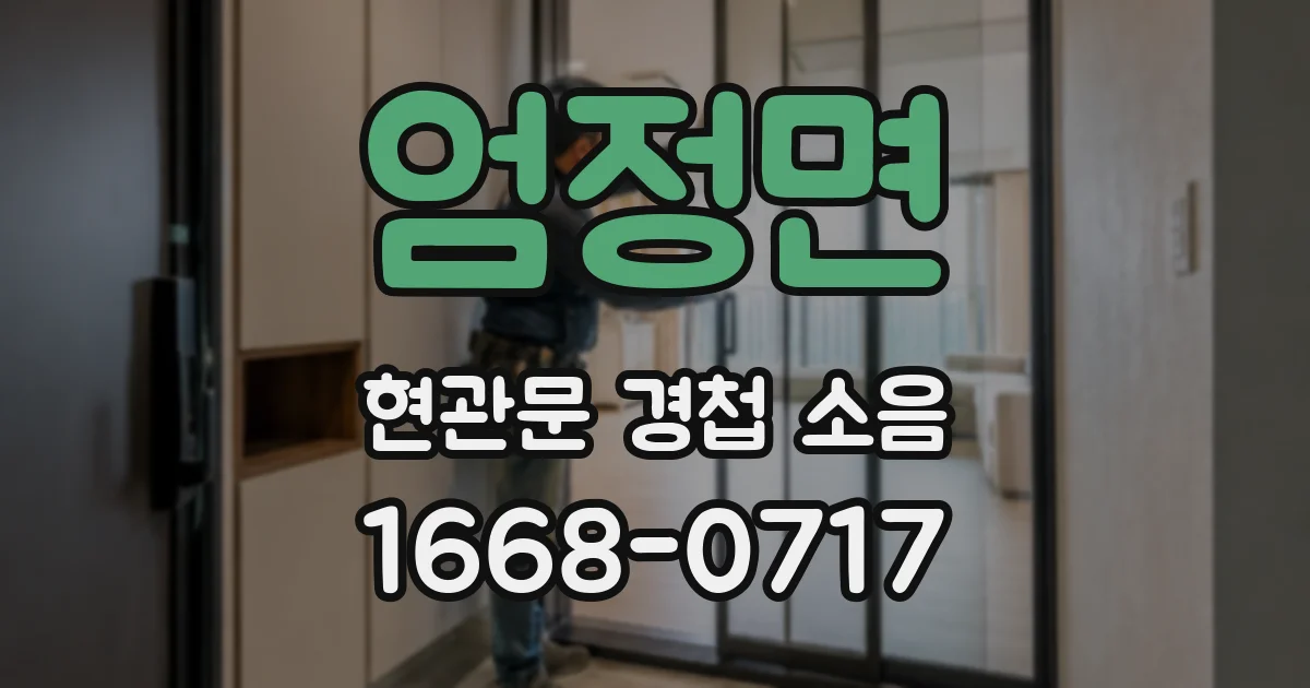 엄정면 현관문 경첩 소음